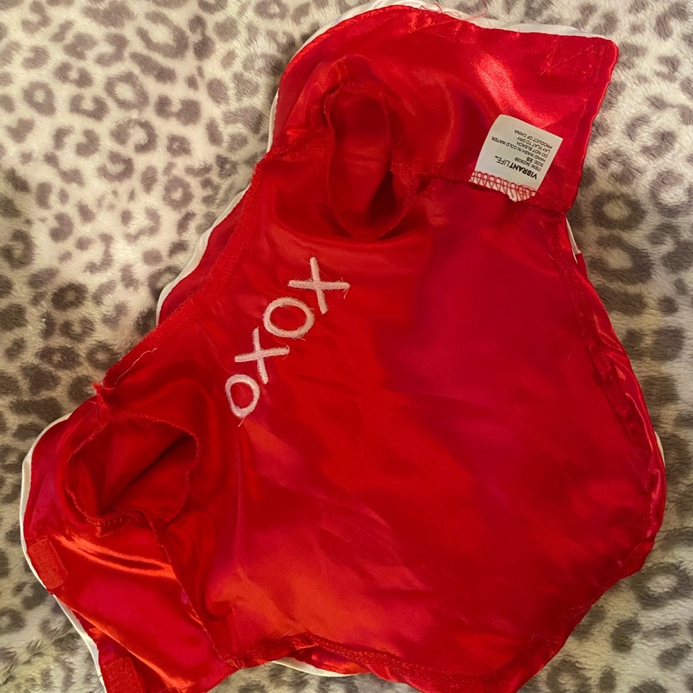 Vibrant Red Cat/Kitten Apparel